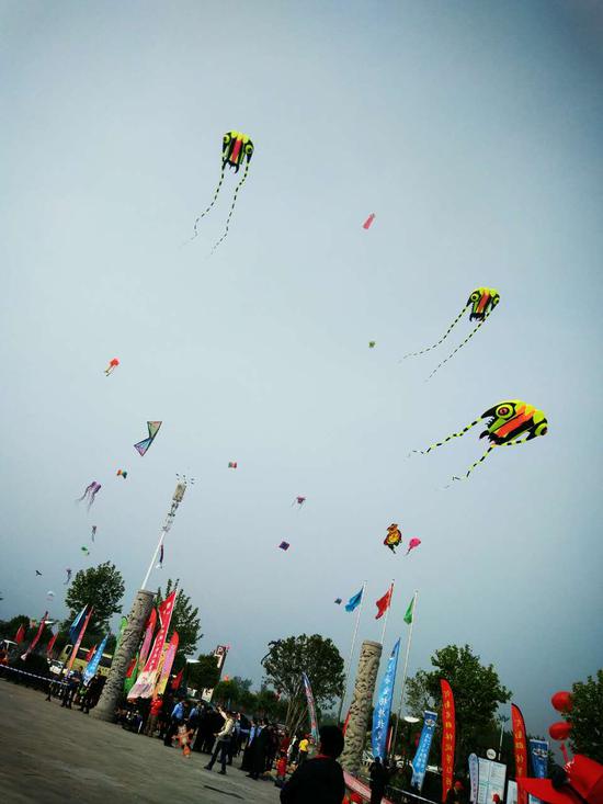 2017“八里河杯”国际运动风筝赛开幕上演“空中芭蕾”盛宴