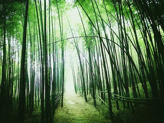 肥东十景出炉 爱情隧道榜上有名