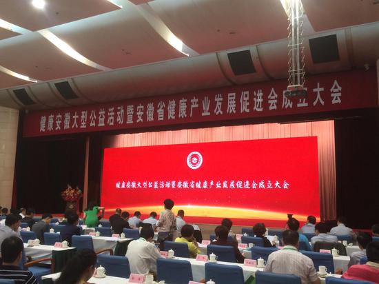 安徽省健康产业发展促进会正式成立 杨武当选