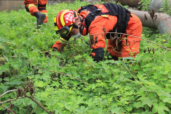 中部地区跨区域地震救援实战拉动演练在合肥全