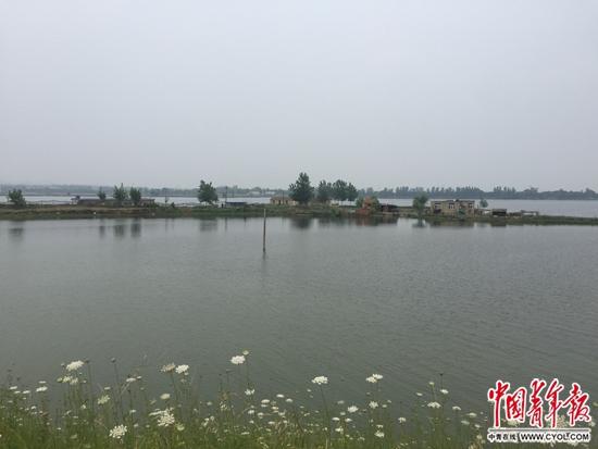 蔡瑞豹在水中的家,那块陆地上只有4个人。