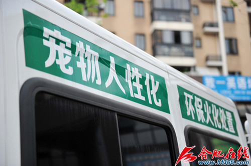 宠物殡葬在合肥悄然“走红”