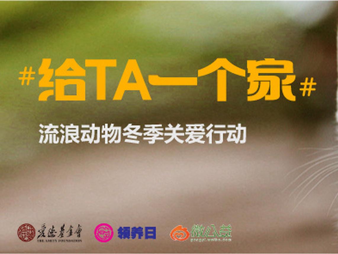 拯救落难喵汪星人