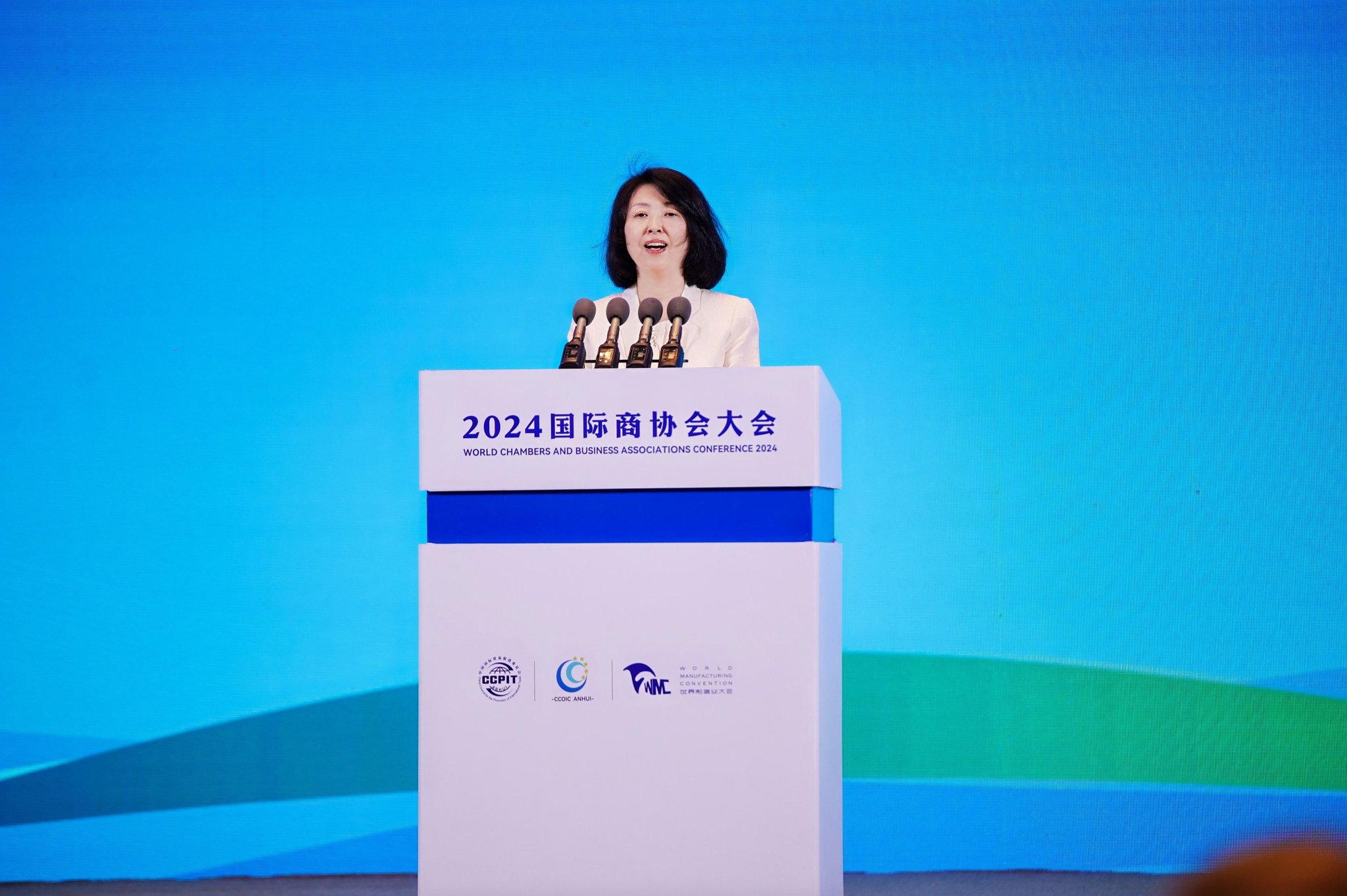 (中国贸促会副会长李庆霜 致辞)