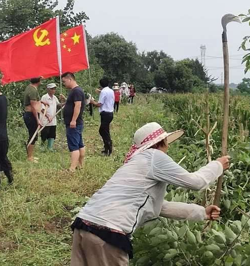  危急时刻 更显鱼水深情