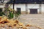 安徽含山：村庄被淹 紧急疏散百余名群众