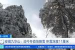 安徽九华山：迎今冬首场降雪 积雪深度11厘米