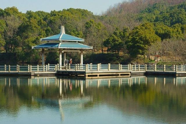 芜湖：以“绣花功夫”描绘城市建设管理新画卷