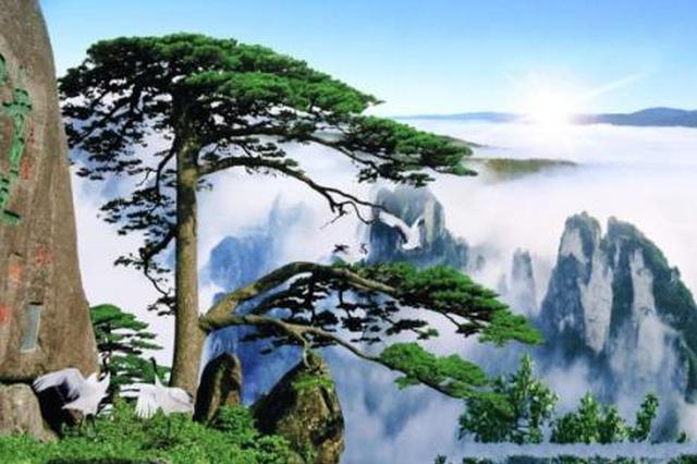 黄山风景区游客开始平稳回落