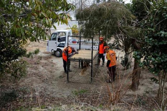 骆驼找水超能力 沙漠生存秘诀大揭秘