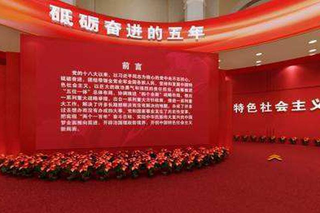淮北市组织观看新中国成立70周年大型成就展网上展馆
