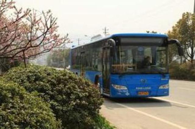 合肥长江东路改造 2路等10条公交28日起绕行