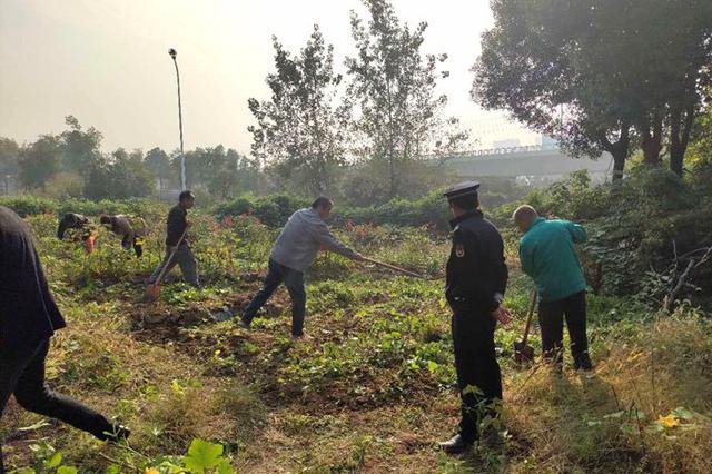  These "Happy Farms" in Hefei have been shoveled