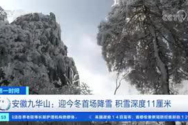 安徽九华山：迎今冬首场降雪 积雪深度11厘米