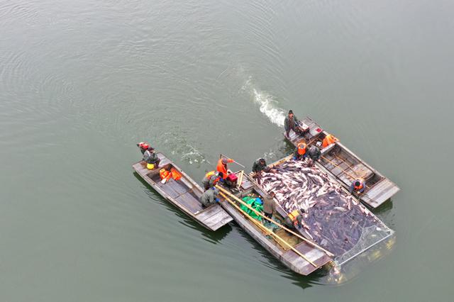  [Fly to China] Ecological reservoirs are busy in winter