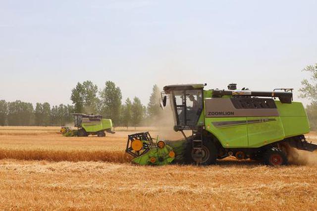 安徽小麦主产区开机收获 20万台收割机“整装待发”