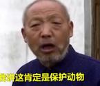 安徽村民河边接连捕获4腿娃娃鱼