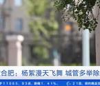 杨絮漫天飞舞 城管多举除絮