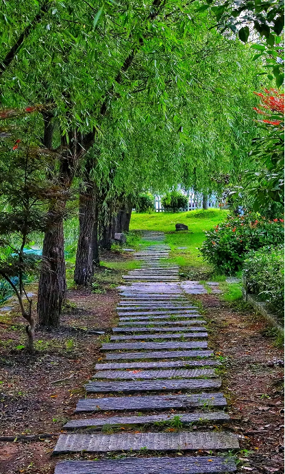 屏山长宁湖畔风光