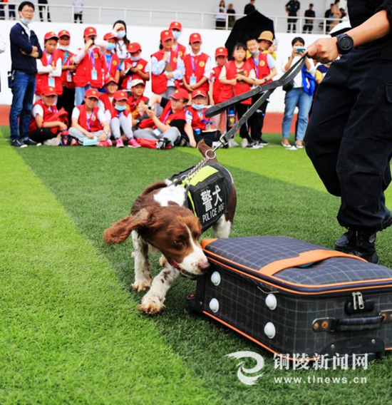  搜毒犬正在“查毒