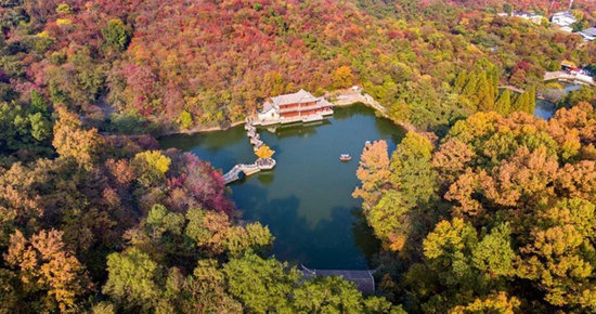 航拍琅琊山深秀湖。李虎/摄