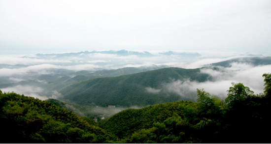广德市笄山竹海景区 (图源:广德市文化和旅游局)