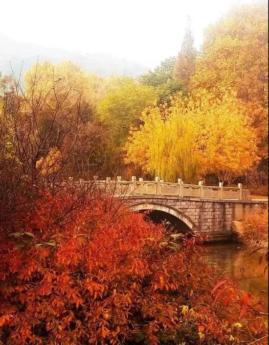 翠螺山 图源:采石风景名胜区