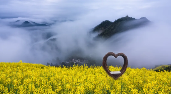 歙县乡村油菜花艺术季活动布置现场