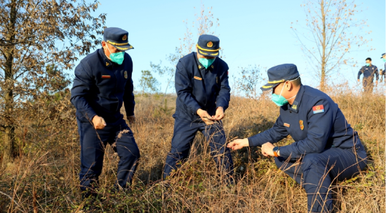 勘察组分析植被类型、林下可燃物载量。