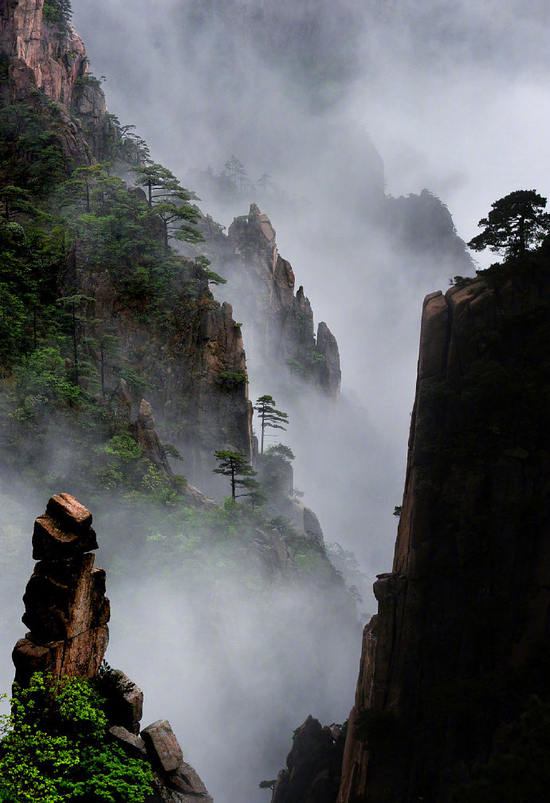 春游江淮请您来丨这个春天黄山与您有约