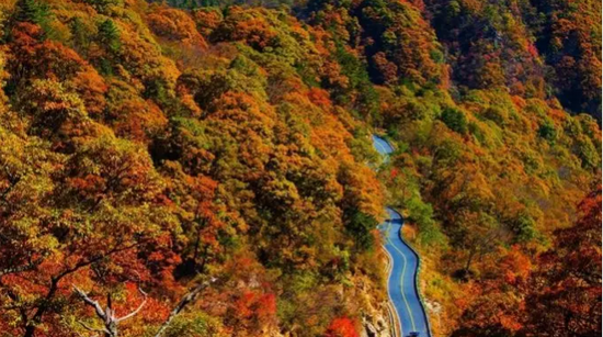 大别山风景道