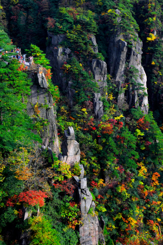 黄山风景区秋景 (图源:安徽省文化和旅游厅)