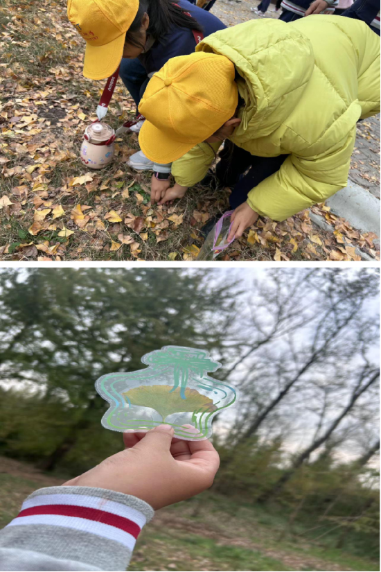 (拾秋)