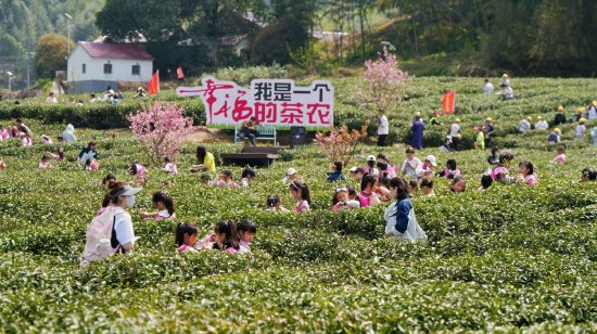 霍山县凡冲茶海研学