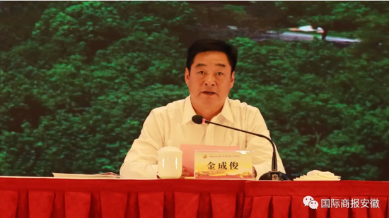 肥西县委书记金成俊致辞