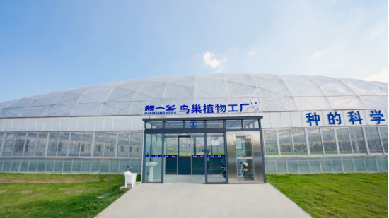 图 | 肥东县顾一乡太空农场