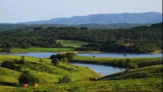 黄寨草场——江淮分水岭的灵魂栖息地