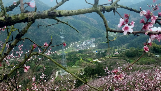 道路通达村民田间地头,助力乡村振兴