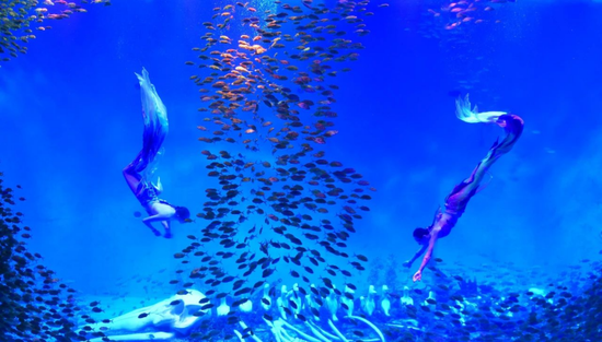 经开区合肥海洋世界美人鱼表演 （图源：合肥海洋世界微信公众号）