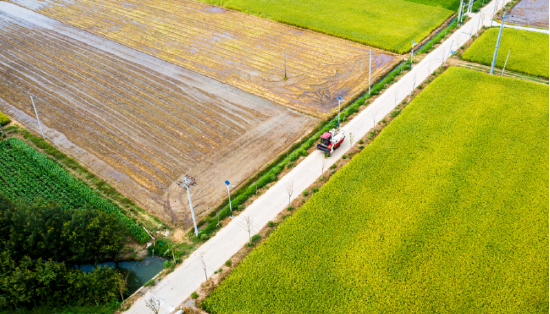 安徽省芜湖市繁昌区平铺镇龙岗村,一台收割机正行驶在田间机耕道路上