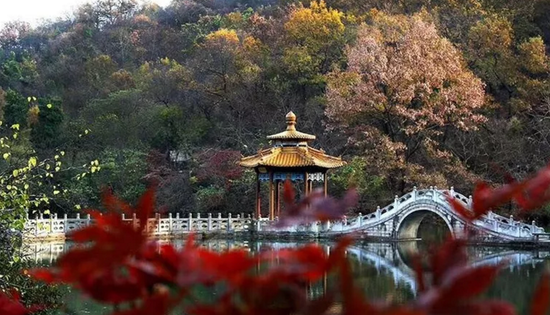 2020上半年滁州和阜阳gdp_上世纪90年代滁州地图