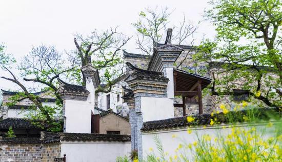 看查济小动物的江湖故事 方知日长似岁