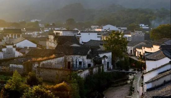 看查济小动物的江湖故事 方知日长似岁