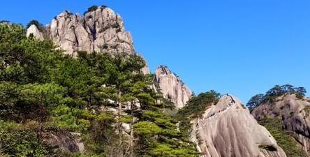 4月5日,安徽黄山风景区阳光明媚,天空湛蓝。 刘维刚 摄