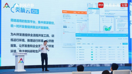 合肥中科类脑智能技术有限公司董事长兼总经理刘海峰分享