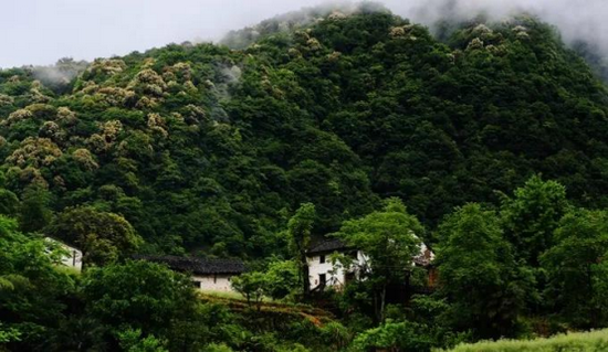 石台县富硒大山村(图源:池州文化旅游公众号)