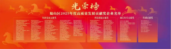 蜀山区2025年度高质量发展贡献奖企业名单