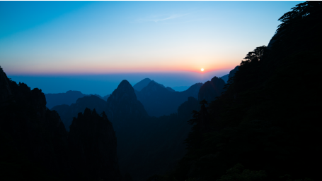 (图片来源:李琴)