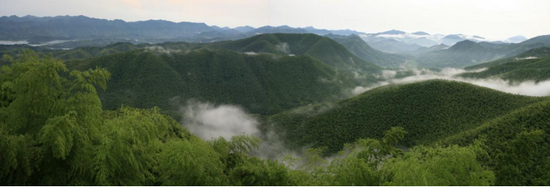 广德市笄山竹海景区 (图源:广德市文化和旅游局)