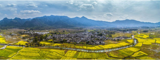 黟县南屏村（图源：安徽省文化和旅游厅）